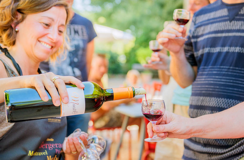 Vigne et vin découverte | Domaine du Siorac