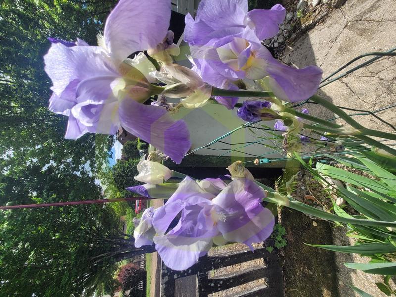 Maison - 74 m² - 4 pièces