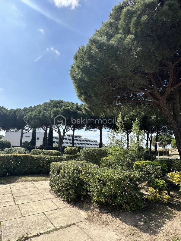 Studio - 20 m² - 1 pièce