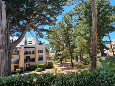 Appartement - 24 m² - 1 pièce