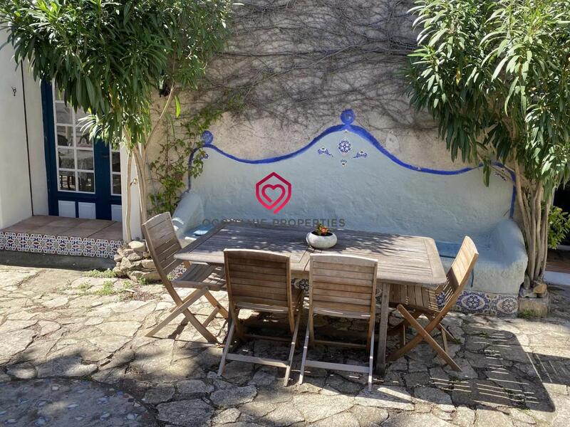 Hôtel particulier - 433 m² - 12 pièces