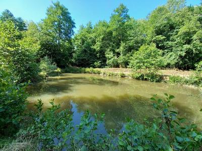 Terrain de loisirs - 2 669 m²