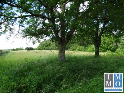 Maison ancienne - 48 m² - 2 pièces