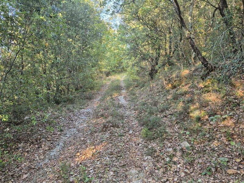 Terrain - 15 720 m²