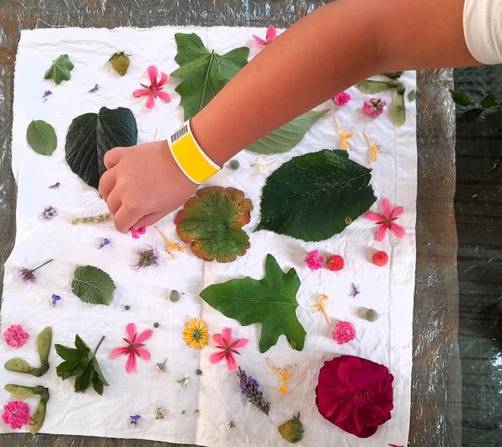 Mercredi Créatif "Tataki zomé"