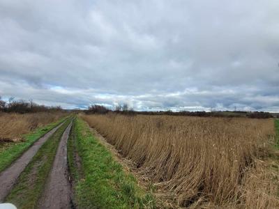 Terrain - 10 314 m²