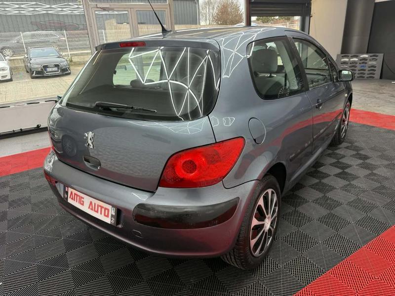 Peugeot 307 1.6 HDi 16v 110 Cv. Restylée