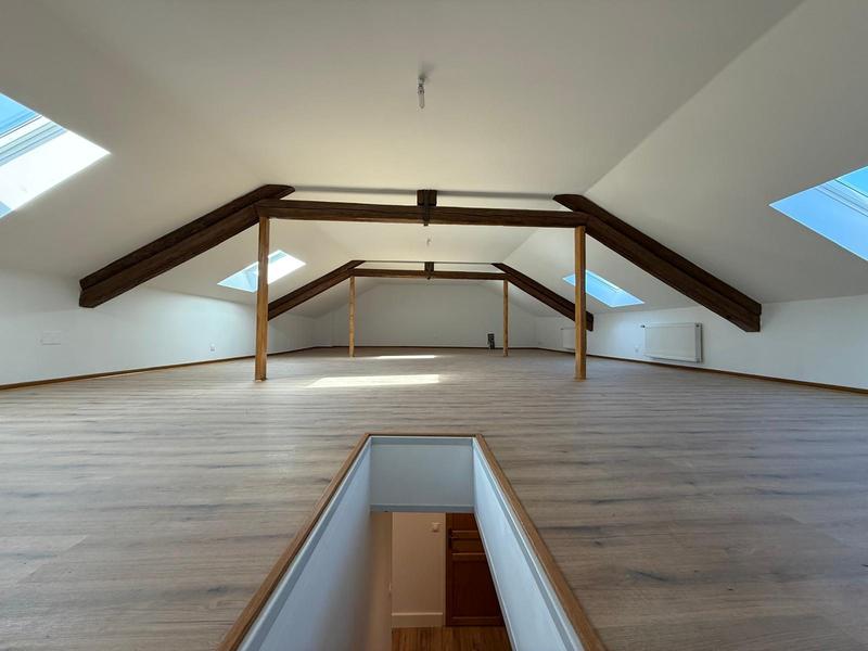 Maison ancienne - 306 m² - 8 pièces