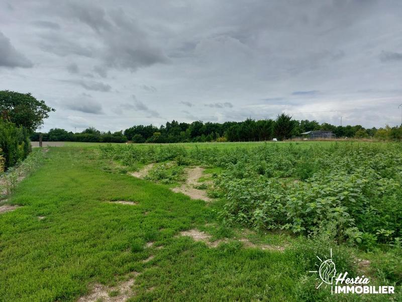 Terrain constructible - 600 m²