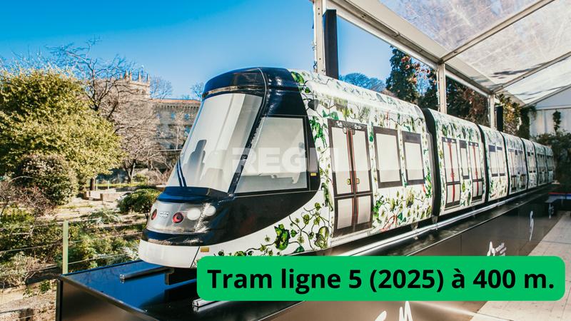 Appartement - 54 m² - 3 pièces