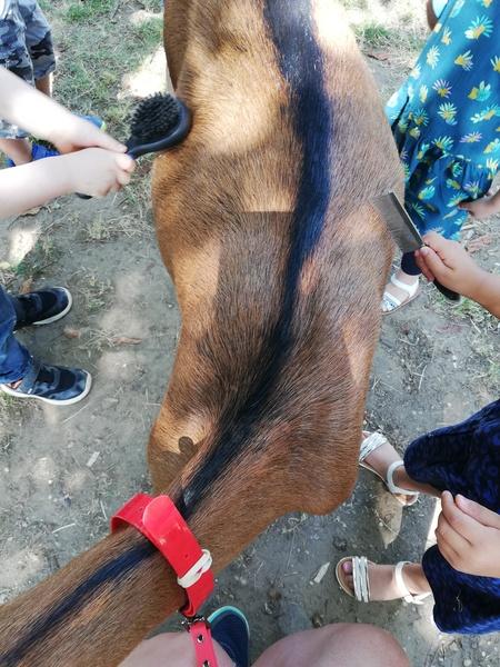 Atelier petit fermier