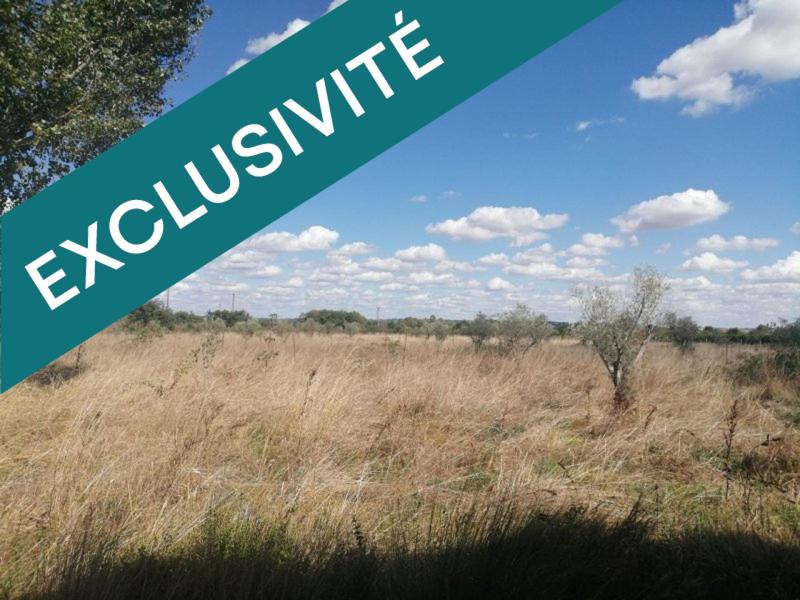 Terrain agricole - 28 095 m²