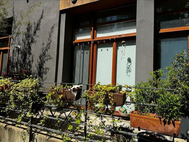 Maison - 95 m² - 3 pièces