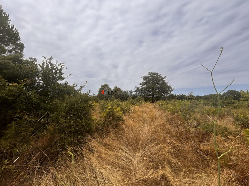 Terrain agricole - 5 000 m²