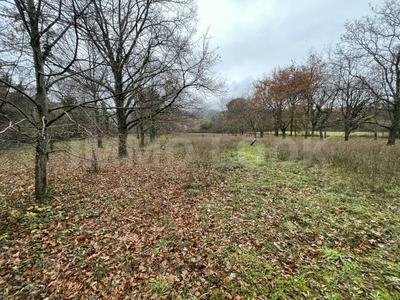 Maison - 86 m² - 5 pièces