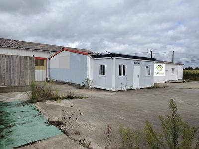 Local commercial - 436 m²