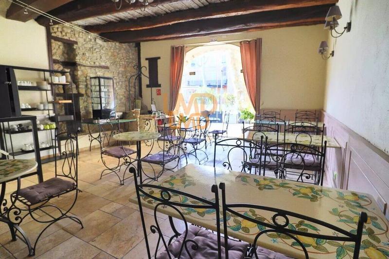 Hôtel particulier - 665 m²