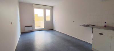 Studio - 30 m² - 1 pièce