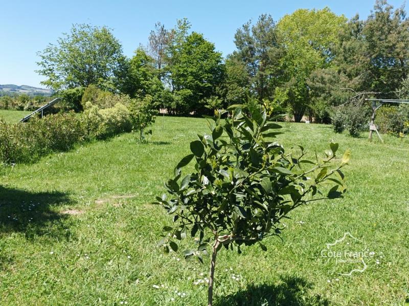 Villa - 187 m² - 7 pièces