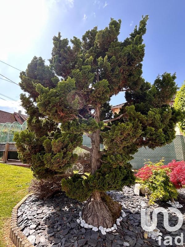 Maison - 145 m² - 6 pièces