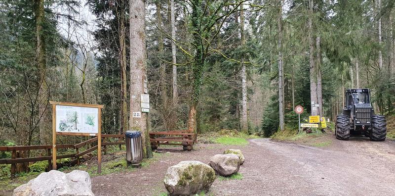 Club Vosgien : le sentier des ponts à Stosswihr