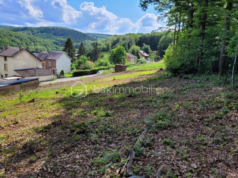 Terrain - 1 220 m²