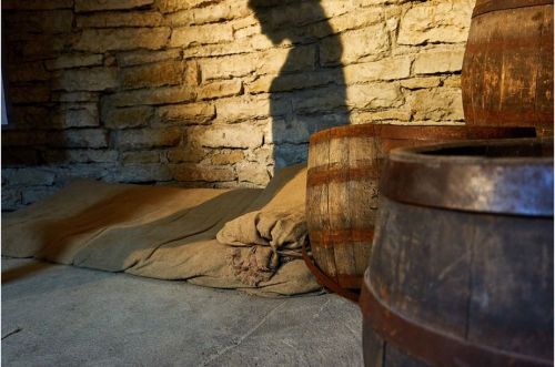 Captive Live Escape Game