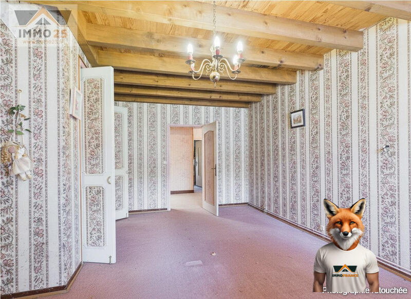 Maison ancienne - 220 m² - 5 pièces