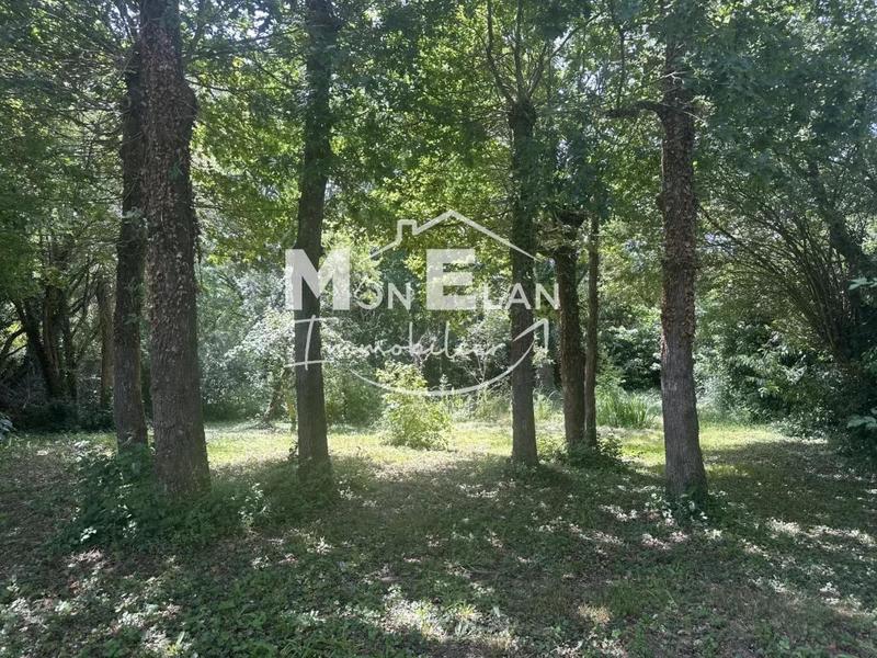 Maison - 194 m² - 7 pièces