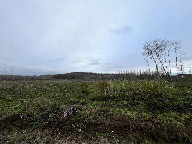 Terrain - 110 312 m²
