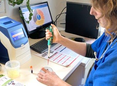 Clinique Vétérinaire Rascol-Madelenat