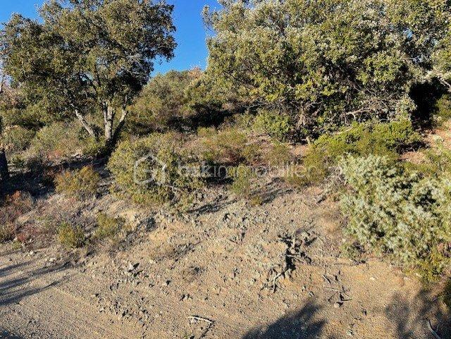 Terrain agricole - 6 500 m²