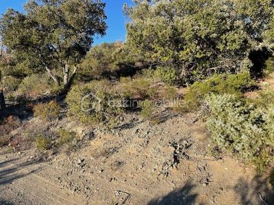 Terrain agricole - 6 500 m²