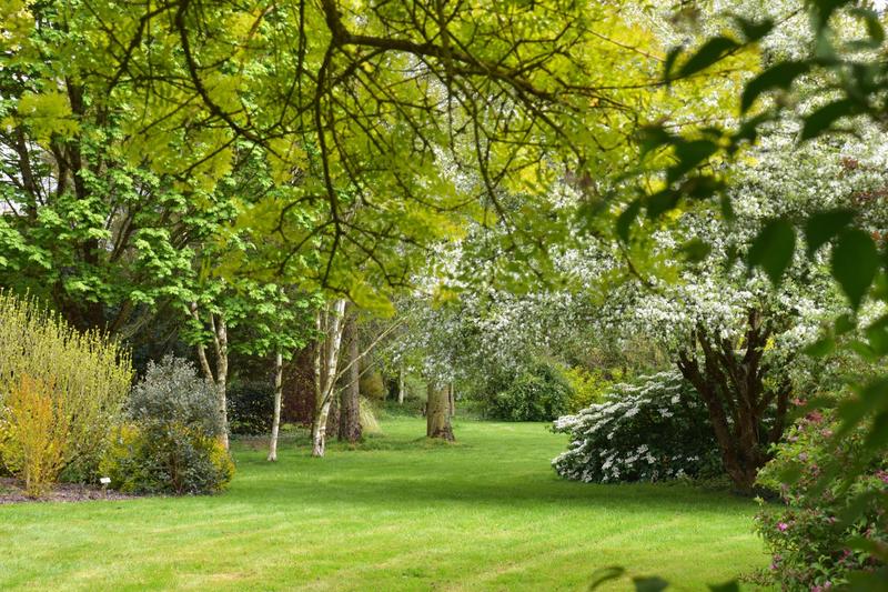 Jardins de Brocéliande