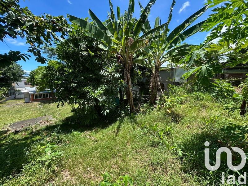 Maison - 65 m² - 2 pièces