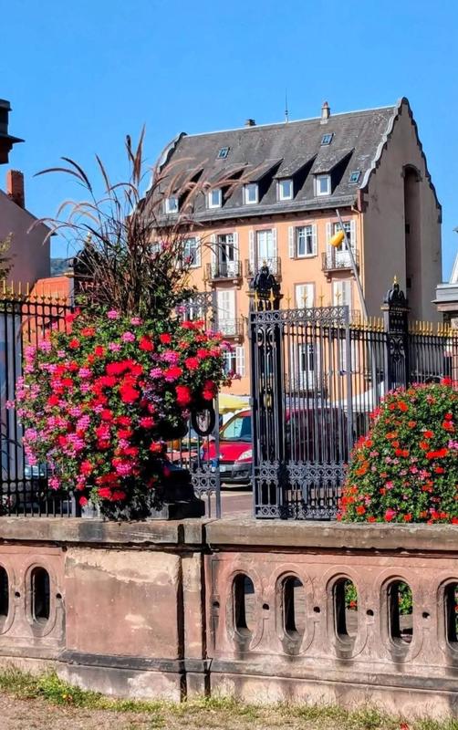 Appartement - 96 m² - 5 pièces