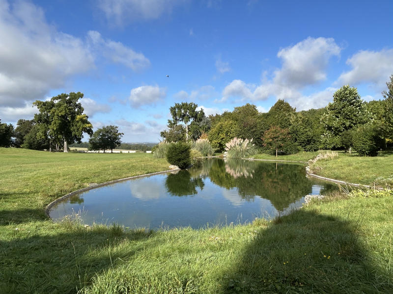 Appartement - 55 m² - 2 pièces