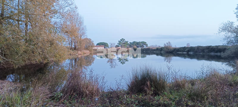 Terrain - 123 886 m²