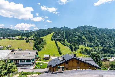 Châlet - 320 m² - 14 pièces