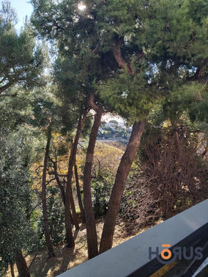 Viager - Appartement - 35 m² - 1 pièce