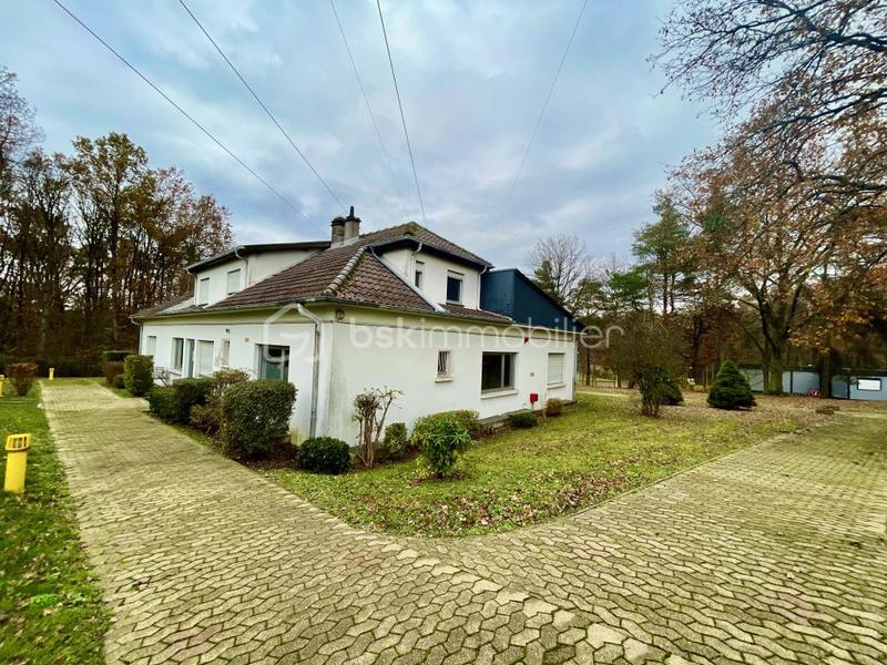 Bureau - 9 000 m² - 50 pièces