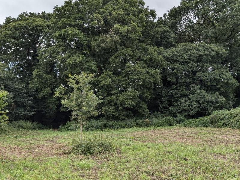 Maison ancienne - 6 pièces