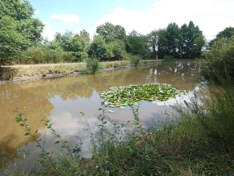 Terrain de loisirs - 11 460 m²