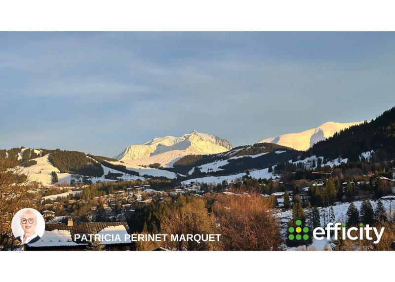 Châlet - 243 m² - 12 pièces