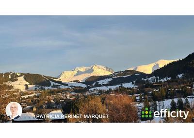 Châlet - 243 m² - 12 pièces