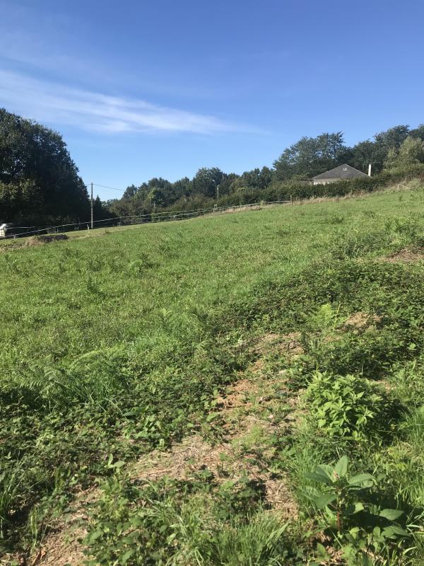 Terrain constructible - 2 390 m²