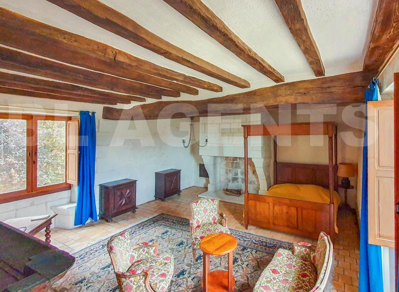 Maison de domaine - 370 m² - 14 pièces