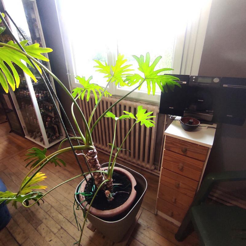 Maison - 184 m² - 5 pièces