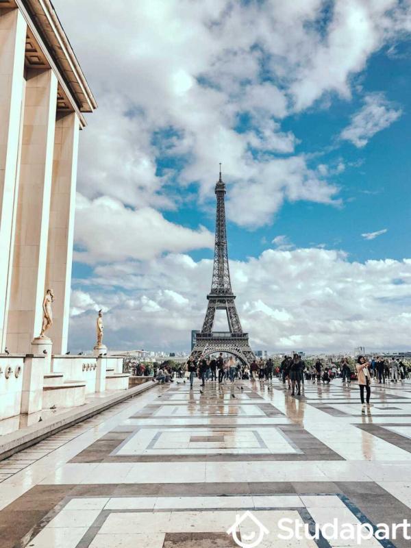 Appartement - 31 m² - 1 pièce