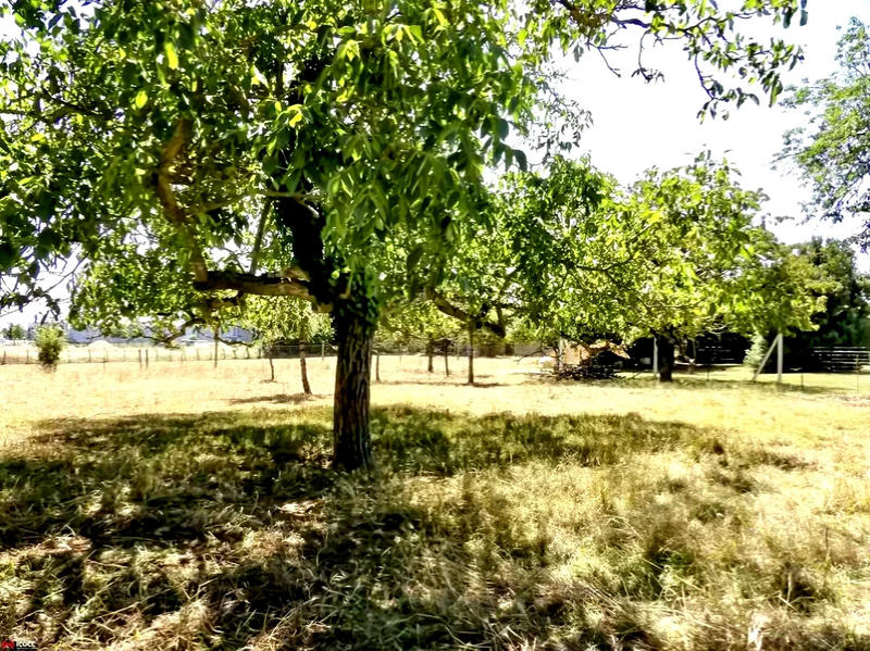 Terrain constructible - 1 000 m²